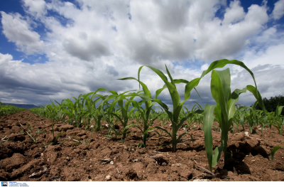 Μετασχηματίζονται ψηφιακά ΟΠΕΚΕΠΕ και ΕΛΓΑ - Το ψηφιακό μέλλον της γεωργίας
