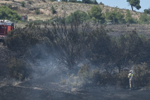 Οριοθετήθηκε η φωτιά στο Αγιον Όρος – Ολονύχτια η μάχη με τις φλόγες