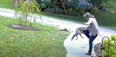 Απίστευτο: Λυσσασμένη αλεπού «ορμάει» και δαγκώνει γυναίκα στη Νέα Υόρκη (Βίντεο)