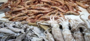 Κατάσχεσαν 90 κιλά ψάρια και θαλασσινά από ιχθυοπωλείο στον Πειραιά