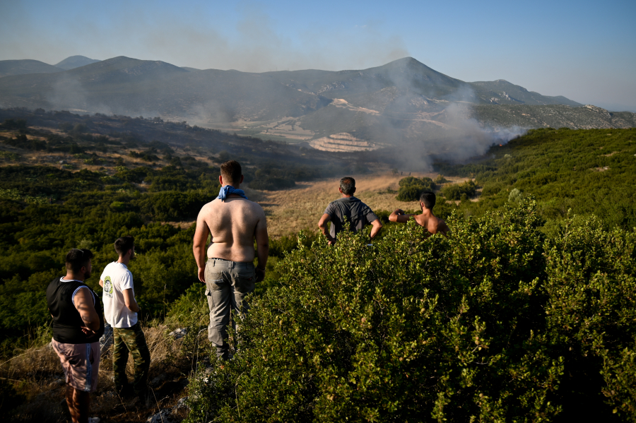 ΕΛΓΑ: Αυτές είναι οι αποζημιώσεις σε πληγέντες παραγωγούς και αγρότες από τις φωτιές