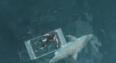 Δραματική στιγμή συνάντησης δύτη με καρχαρία, η αγωνιώδης προσπάθεια του να σωθεί (βίντεο)