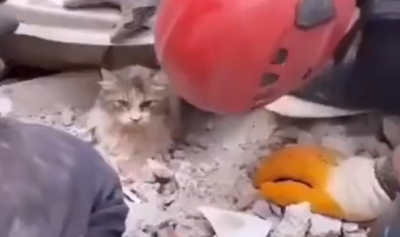 Σεισμός Τουρκία: Συγκινητικό βίντεο, γατάκι ανασύρθηκε ζωντανό από τα συντρίμμια