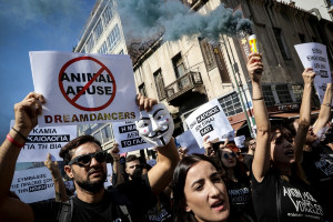 Διαμαρτυρία Vegan στη Βαρβάκειο - Φορούσαν μάσκες γουρουνιών και μαύρα ρούχα (pics)