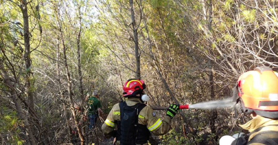 Φωτιά στο Πόρτο Γερμενό: Συγκλονιστικές εικόνες και βίντεο από την μάχη πυροσβεστών και δασικής υπηρεσίας