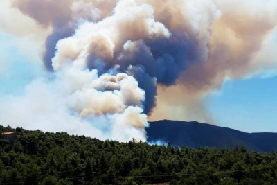 Νέα φωτιά στην Αττική: Καίει σε δασική έκταση στα Βίλια, εκκενώθηκαν οικισμοί (βίντεο, εικόνες)