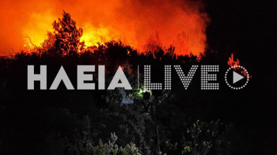 Μεγάλη φωτιά στην Ηλεία, σε αναγεννημένο δάσος - Ολονύκτια μάχη με τις φλόγες