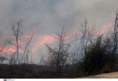 Αποκομμένος οδικώς ο νομός Έβρου από την υπόλοιπη Ελλάδα λόγω φωτιάς, «να αναπνεύσουμε δε μπορούσαμε»