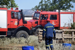 Φωτιά τώρα στα Οινόφυτα, ο ΟΣΕ ακύρωσε δρομολόγια
