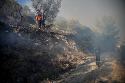 Ενημέρωση Πυροσβεστικής: 40 δασικές πυρκαγιές το τελευταίο 24ωρο - Σε εξέλιξη η φωτιά στο Δίστομο Βοιωτίας