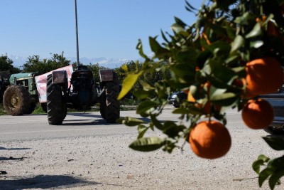 Καταδίκη της Ελλάδας: Η Κομισιόν ζητάει πίσω 425 εκατ. που δόθηκαν σε αγρότες