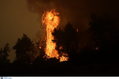 Στην ορεινή Δεσφίνα καίει το μέτωπο της πυρκαγιάς στη Μάνη - Κάηκαν 56 σπίτια