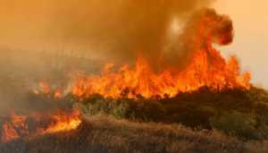 Πυρκαγιά στο δήμο Νέστου Καβάλας, υπό έλεγχο φωτιές σε Λεύκη και Θεσπρωτία