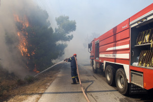 Σε ύφεση η φωτιά στην Αρτέμιδα - Παραμένουν οι δυνάμεις