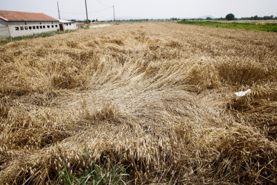 Η Ουκρανία εξήγαγε 1.000.000 τόνους σιτηρών τον Απρίλιο σε πείσμα του πολέμου