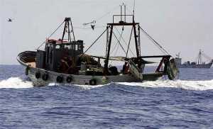 ΥπΑΑΤ: Η ΕΕ θα αποφασίσει για την χρήση βιντζότρατας στην αλιεία