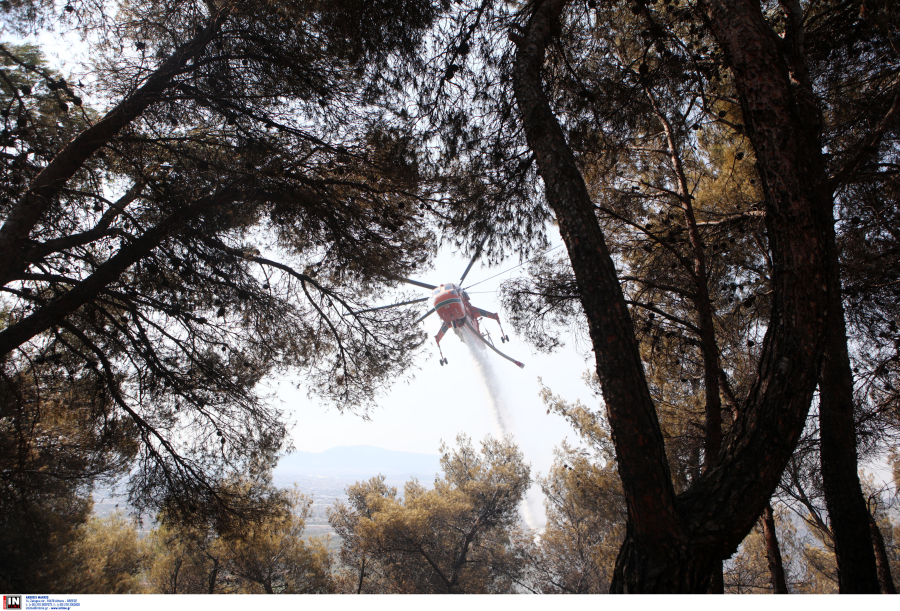 Καταιγίδες και «βροχή κεραυνών» στην Αθήνα: Έξι εστίες φωτιάς στην Βάρη, περιορίστηκαν άμεσα
