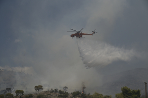 Φωτιά σε δασική έκταση στη Ζάκυνθο - Δίνεται εντολή για εκκένωση (βίντεο)