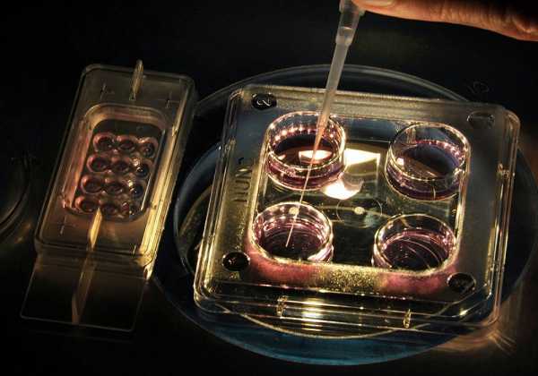 Επιστήμονες δημιούργησαν νέα κύτταρα θυρεοειδούς