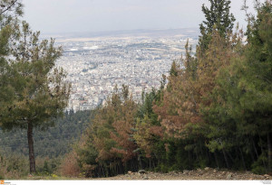 Θεσσαλονίκη: Απαγόρευση κυκλοφορίας από σήμερα μέχρι την Τρίτη (13/8) στο δάσος Σέιχ Σου