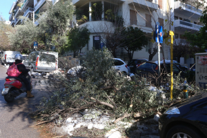 Δήμος Βριλησσίων: Αποζημιώσεις για ζημιές σε οχήματα από πτώσεις δέντρων λόγω της κακοκαιρίας