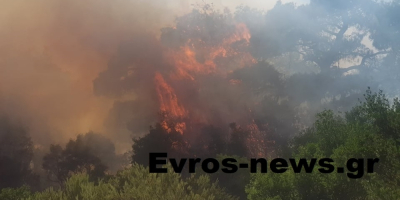 Συναγερμός στην Πυροσβεστική: Μεγάλη φωτιά στον Έβρο, εκκενώνονται τα παιδικά χωριά SOS (βίντεο)
