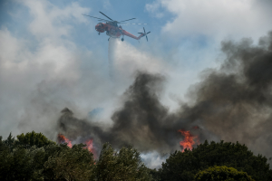 ΕΛΓΑ: Πληρώνονται οι αποζημιώσεις στους αγρότες που επλήγησαν από τις πυρκαγιές του 2021