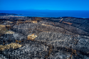 Αποκαρδιωτικές εικόνες από τη φωτιά στην Εύβοια: Κάηκε το 1/3, χρειάζονται 30 χρόνια για να ξαναγίνει το δάσος