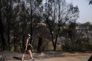 Μέσα σε 4 μέρες έχουν καεί 60.000 στρέμματα σε όλη την Ελλάδα
