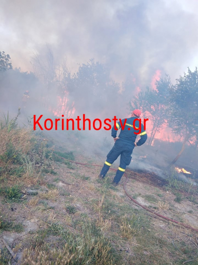 Φωτιά τώρα στο Κιάτο, απειλούνται σπίτια