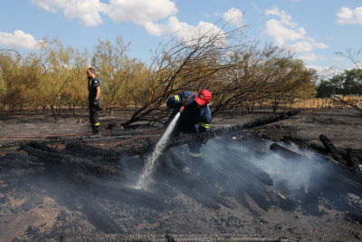 Συναγερμός στην Πυροσβεστική: Φωτιά στη Ζίτσα Ιωαννίνων