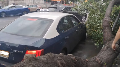 Θεσσαλονίκη: Δέντρο ξεριζώθηκε από ανέμους και «έξυσε» ταξί με κόσμο