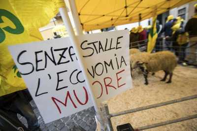 Με πρόβατα μπήκαν στη Ρώμη Ιταλοί κτηνοτρόφοι