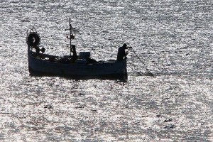 Παράταση δύο μηνών στην απαγόρευση αλιείας με μηχανότρατες στον Σαρωνικό