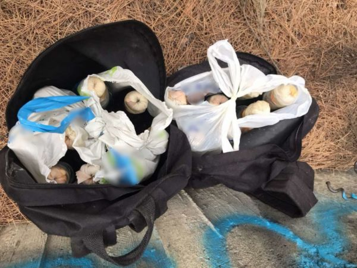 Βρέθηκαν 17 μολότοφ κρυμμένες σε δασώδη περιοχή στην Πάτρα