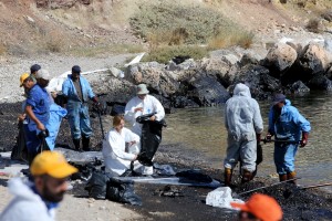 Ολοκληρώνεται ο καθαρισμός των ακτών της Σαλαμίνας