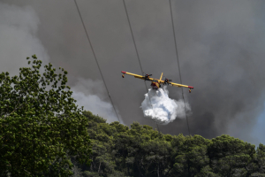 Φωτιά τώρα σε δασική έκταση στη Λάρισα - Επιχειρούν εναέρια μέσα