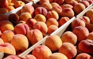 Δωρεάν διανομή φρούτων από το Δήμο Φλώρινας