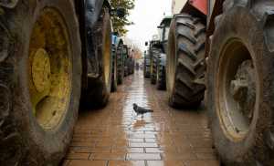 Αθωώθηκαν οι αγρότες για τις απεργιακές κινητοποιήσεις του 2009 