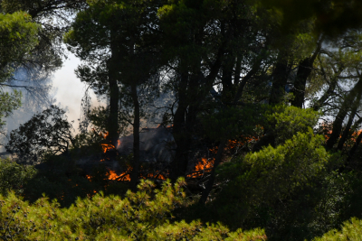 Πολιτική Προστασία: 51 δασικές πυρκαγιές το τελευταίο 24ωρο