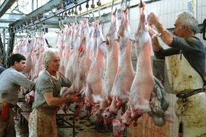 Νέοι κανόνες για τη σφαγή ζώων στο πλαίσιο λατρευτικών τελετών
