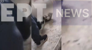 Σοκαριστικό βίντεο κακοποίησης κουταβιών από μικρό παιδί στις Σέρρες: Τα πετάει στον αέρα, τους πατάει το κεφάλι