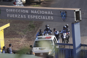Ιστορική επιχείρηση κατά των ναρκωτικών στην Ονδούρα, επί 3 ημέρες ξερίζωναν πάνω από 1,6 εκατ. δενδρύλλια κόκας