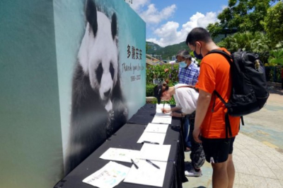 Θανατώθηκε το γηραιότερο γιγάντιο Panda- «Θρήνος» στο Χονγκ Κονγκ
