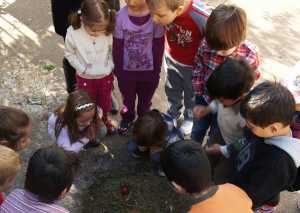 Ηράκλειο Αττικής: Λειτουργία παιδικών σταθμών για εγγραφές στο πρόγραμμα του ΕΣΠΑ