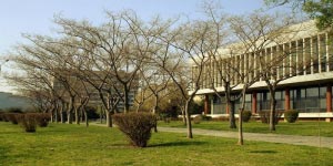 Νέα 48ωρη απεργία στο ΑΠΘ και το Πανεπιστήμιο Μακεδονίας