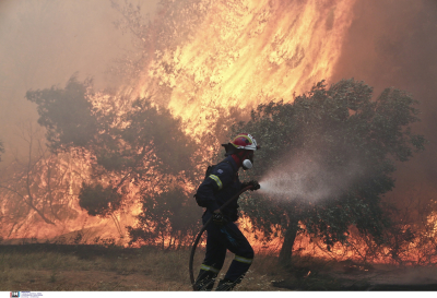 Φωτιές σε Μαγνησία, Αχαΐα και Φθιώτιδα, συναγερμός στην Πυροσβεστική