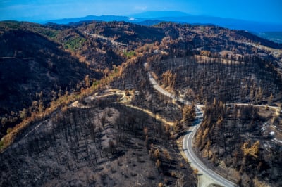 Οι 10 πιο ακραίες πυρκαγιές στην Ελλάδα από το 2003- Κάηκαν περισσότερα από 2.800.000 στρέμματα