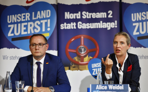 Ενισχύεται και στη Γερμανία η ακροδεξιά: Aύξηση της δημοτικότητας του AfD δείχνει νέα δημοσκόπηση
