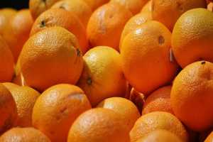 Δεκαπέντε τόνους πορτοκάλια προσφέρει ο Δήμος Ιλίου